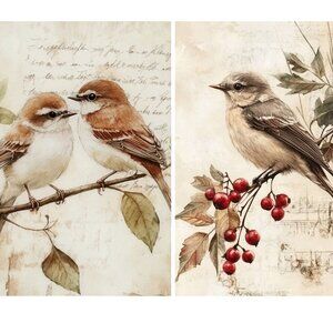 Junk journal Bird pages